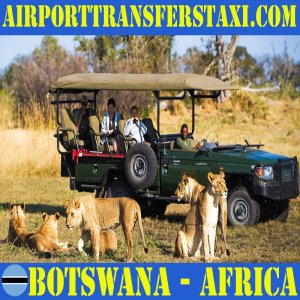 Botswana Best Tours & Excursions - Best Trips & Things to Do in Botswana