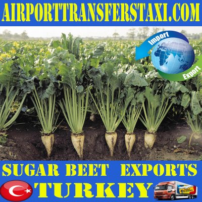 Food Industry Turkey - Exports : Bakery and Confectionery Products - Turkey Exports - Made in Turkey