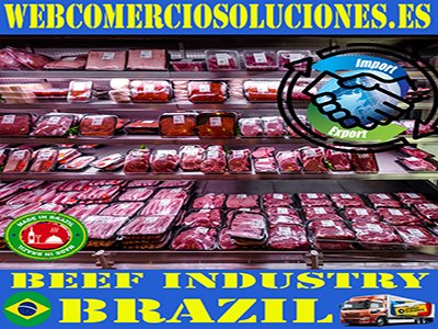 Brazil Best Tours & Excursions - Best Trips & Things to Do in Brazil