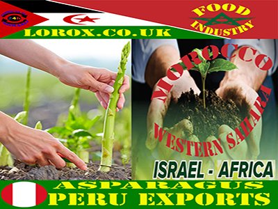 Peru Best Tours & Excursions - Best Trips & Things to Do in Peru