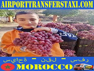 Food Industry - Exports 📍Rabat Morocco : Fruits & Vegetables | Argan Oil | Moroccan Spices | Fish & Seafood