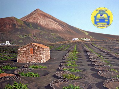 Airport Transfers Taxi Arrecife Lanzarote