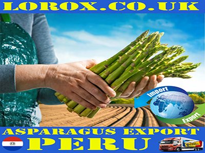 Peru Best Tours & Excursions - Best Trips & Things to Do in Peru