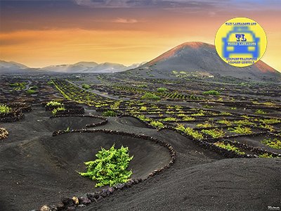 Airport Transfers Taxi Arrecife Lanzarote