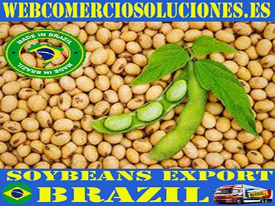 Brazil Best Tours & Excursions - Best Trips & Things to Do in Brazil