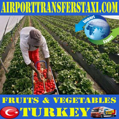 Food Industry Turkey - Exports : Bakery and Confectionery Products - Turkey Exports - Made in Turkey